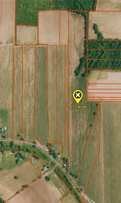 Riche' Road, Cottonport, LA 71327 - #1