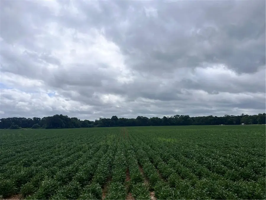 107 Highway, Cottonport, LA 71327 - #3