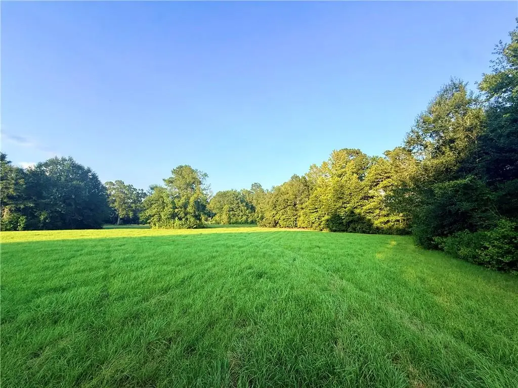 TBD Lot1 10 Highway, Franklinton, LA 70438 - #1