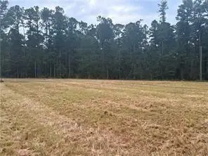 TBD Hwy 1241 Highway, Colfax, LA 71417