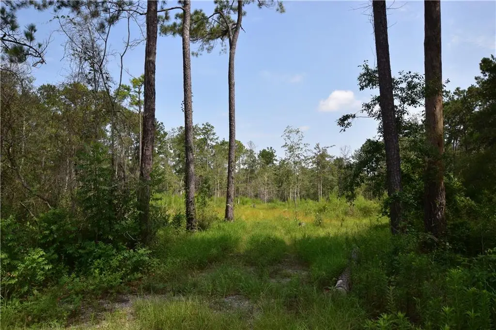 37323 Howard O'berry Road, Pearl River, LA 70452 - #1