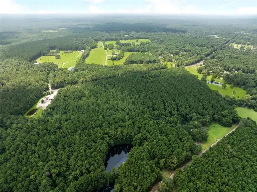 Lavinghouse Road/ Highway 21 Highway, Bush, LA 70431 - #2