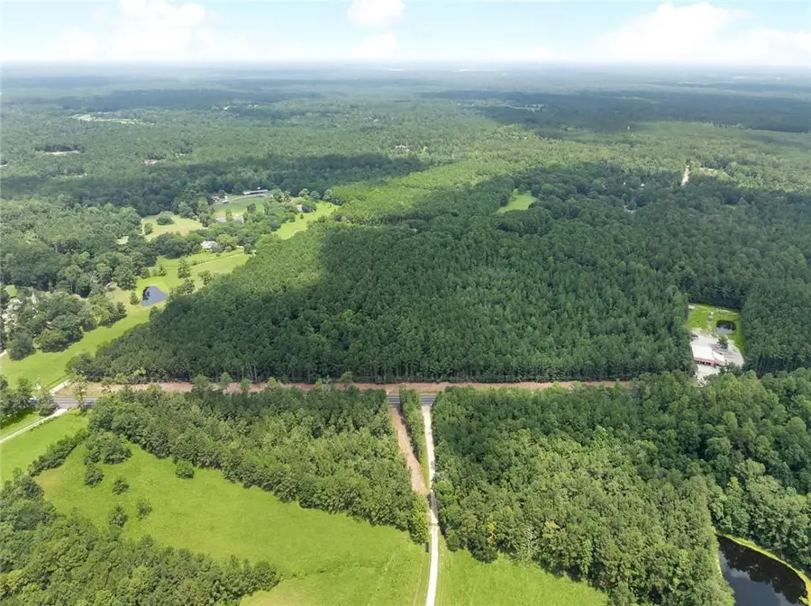 Lavinghouse Road/ Highway 21 Highway, Bush, LA 70431 - #3