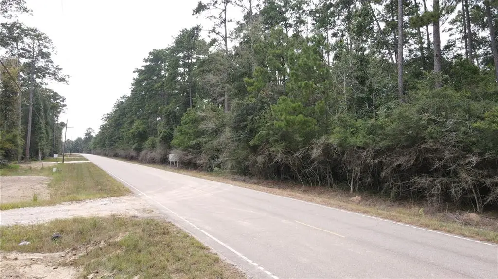 TBD Highway 444 Lot C-5, Springfield, LA 70462 - #1
