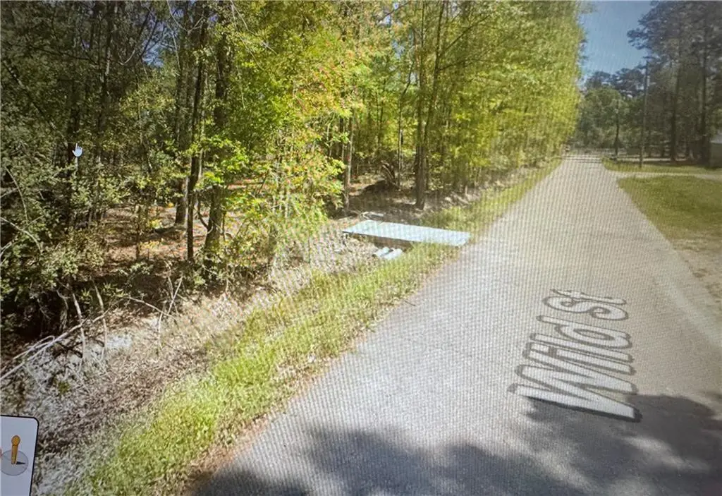 TBD Wild Street, Springfield, LA 70462 - #1