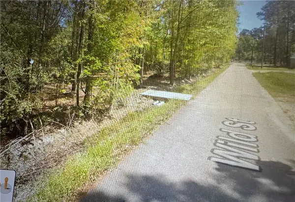 TBD Wild Street, Springfield, LA 70462