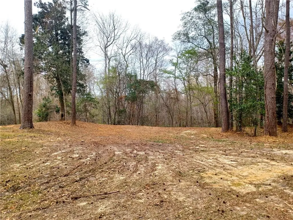 14071 Cypress Crest Lane, Ponchatoula, LA 70454 - #1