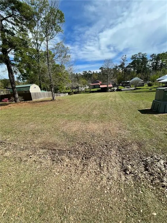 31140 Dendinger Mills Road, Springfield, LA 70462 - #3