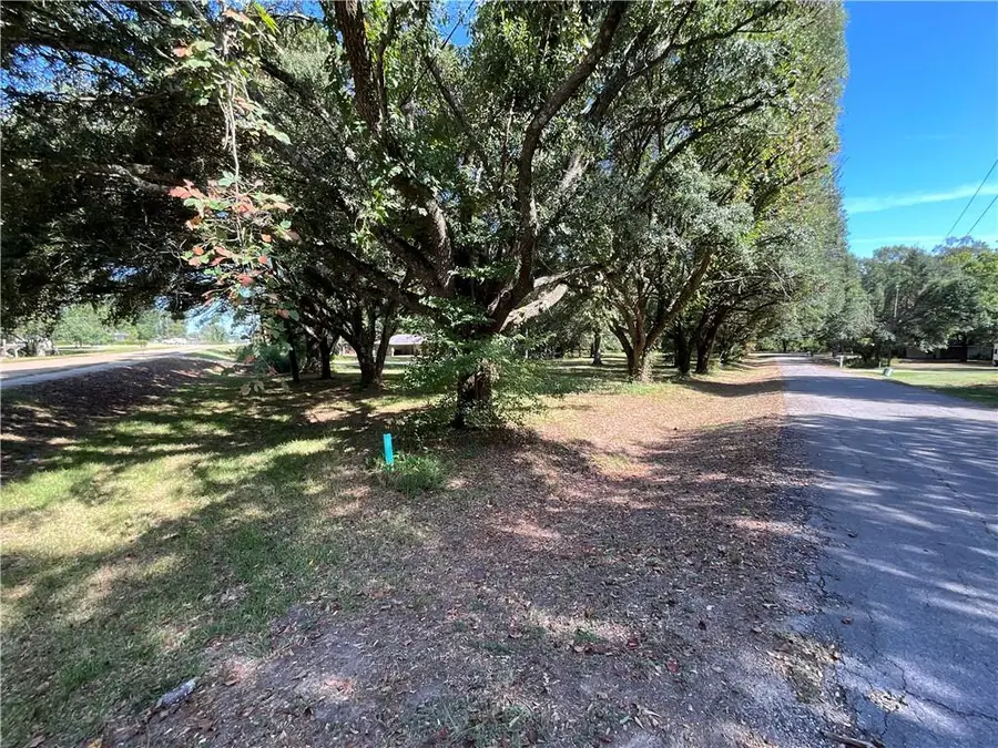 0 Henry (lot 13,14 Street, Marksville, LA 71351 - #3