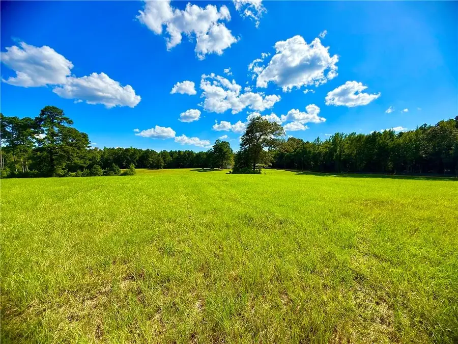 1161 E Oak Street, Jena, LA 71342 - #3