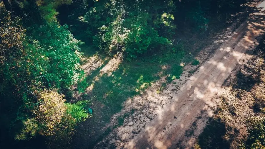TBD Bell Road, Dry Prong, LA 71423 - #3