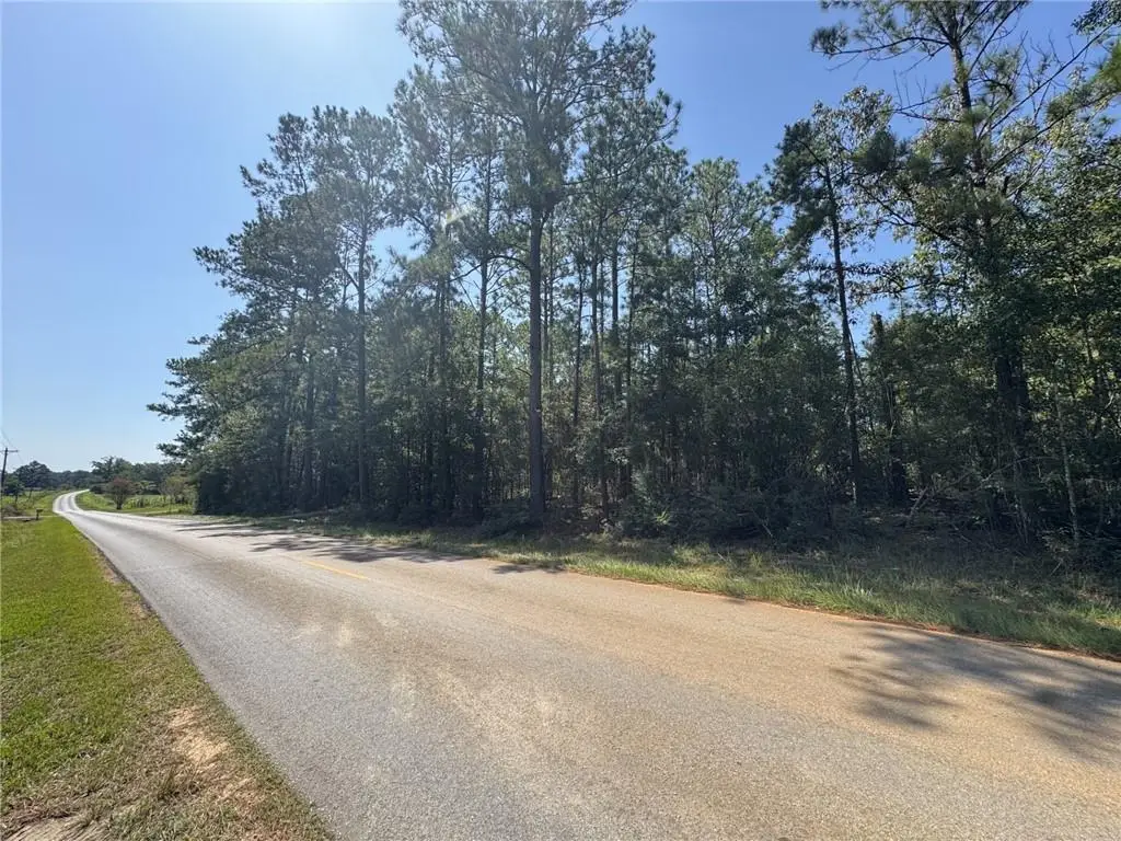 47444 Lawrence Creek Road, Franklinton, LA 70438 - #1