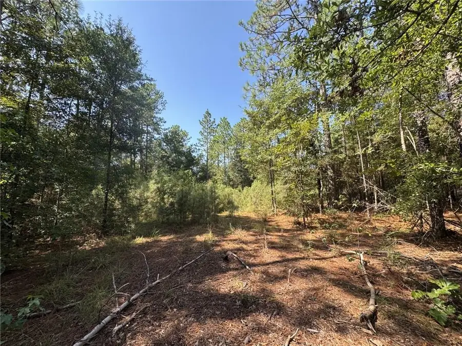 47444 Lawrence Creek Road, Franklinton, LA 70438 - #2
