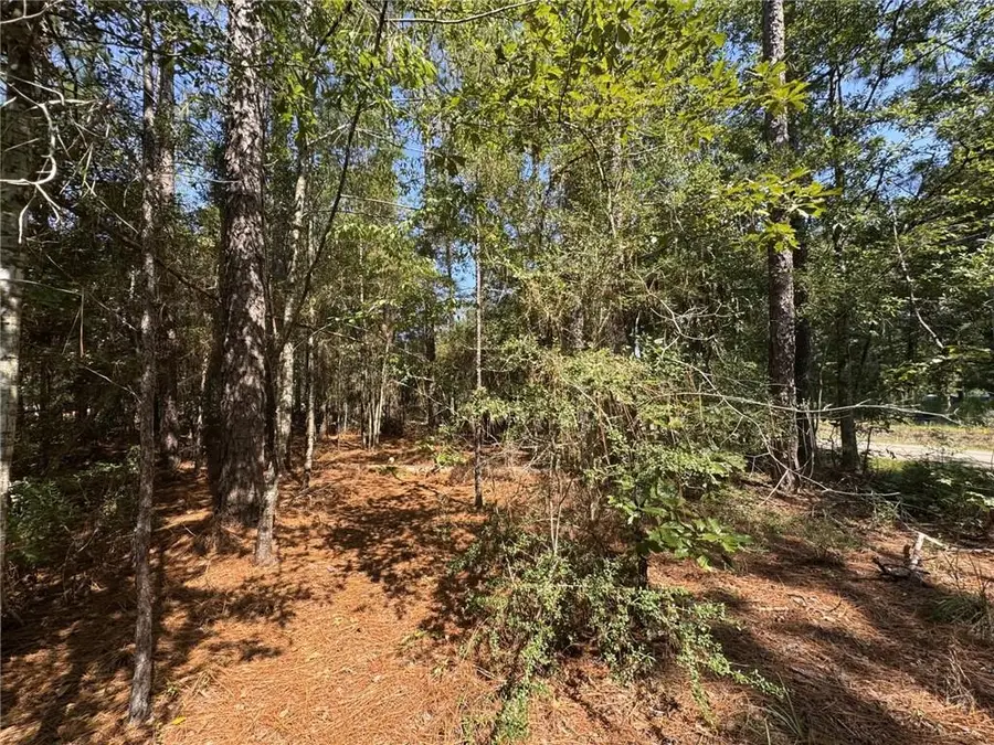 47444 Lawrence Creek Road, Franklinton, LA 70438 - #3