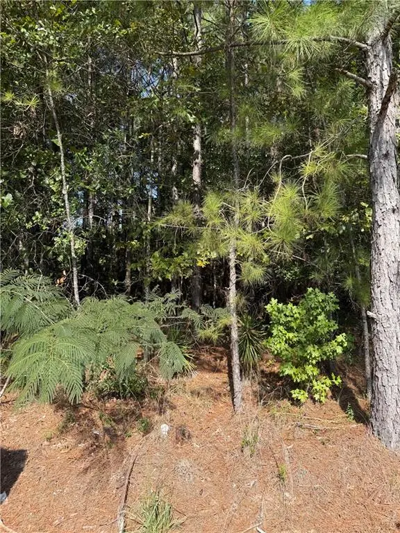 223 Wainwright Road, Pineville, LA 71360 - #2