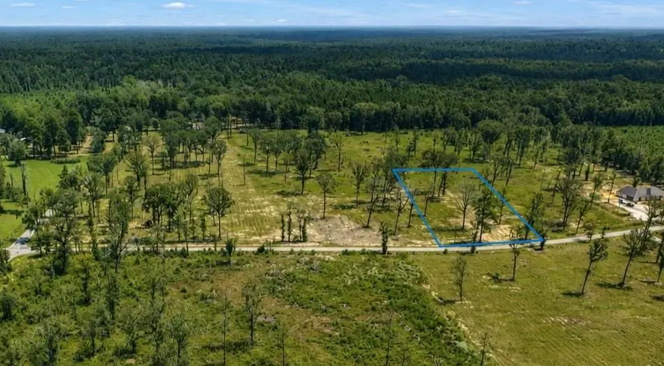 TBD4 Bethel Road, Deville, LA 71328 - #1
