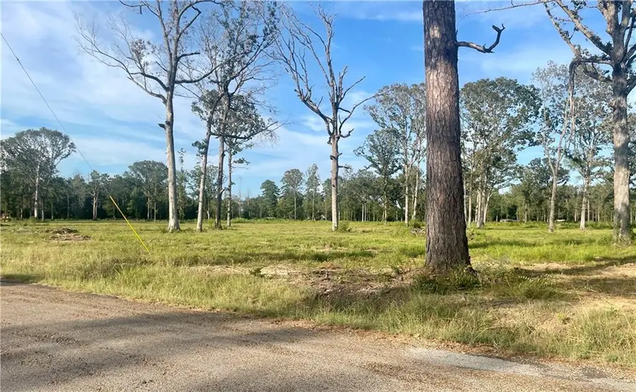TBD5 Bethel Road, Deville, LA 71328 - #3