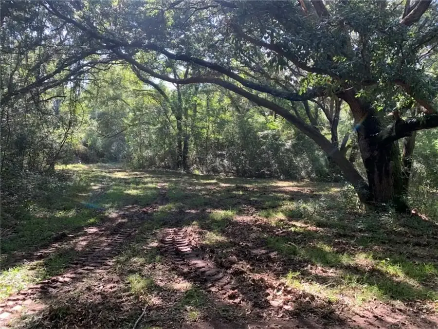 Hwy 435 Highway, Abita Springs, LA 70420 - #2