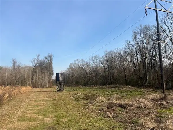 123 Sewer Pond Road, Mansura, LA 71350