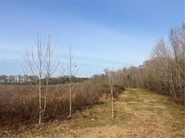 123 Sewer Pond Road, Mansura, LA 71350 - #3