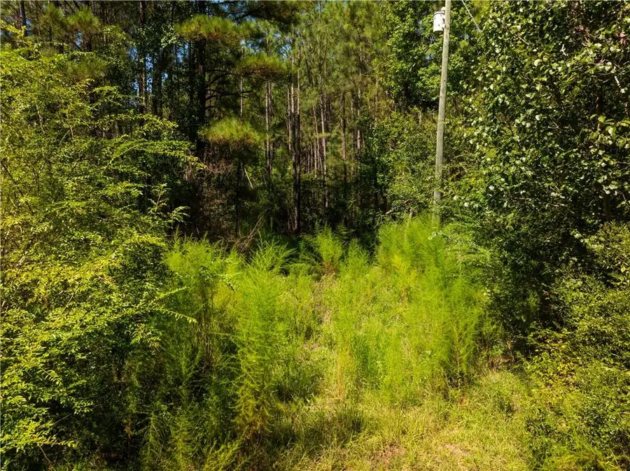 1715 Lena Flatwoods Road, Lena, LA 71447 - #3