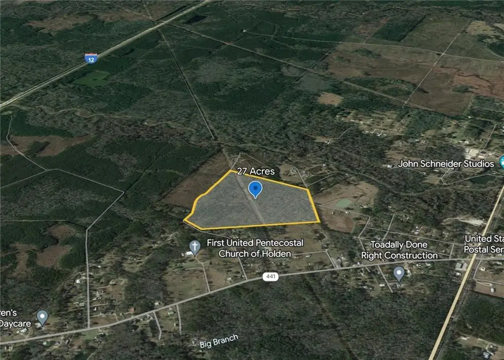 Efferson Road, Holden, LA 70744 - #1