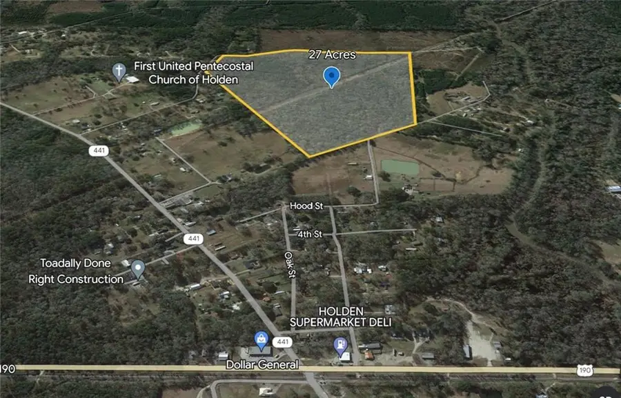 Efferson Road, Holden, LA 70744 - #2