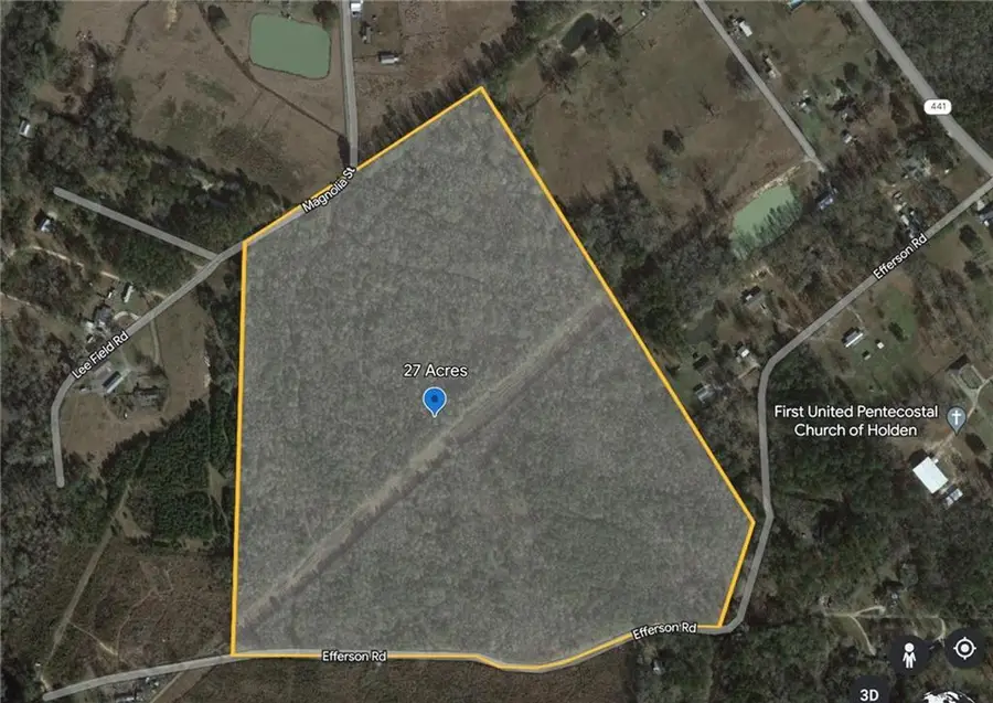 Efferson Road, Holden, LA 70744 - #3