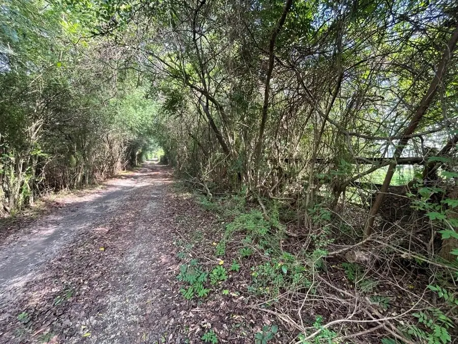 23328 Honeysuckle Road, Bush, LA 70431 - #3