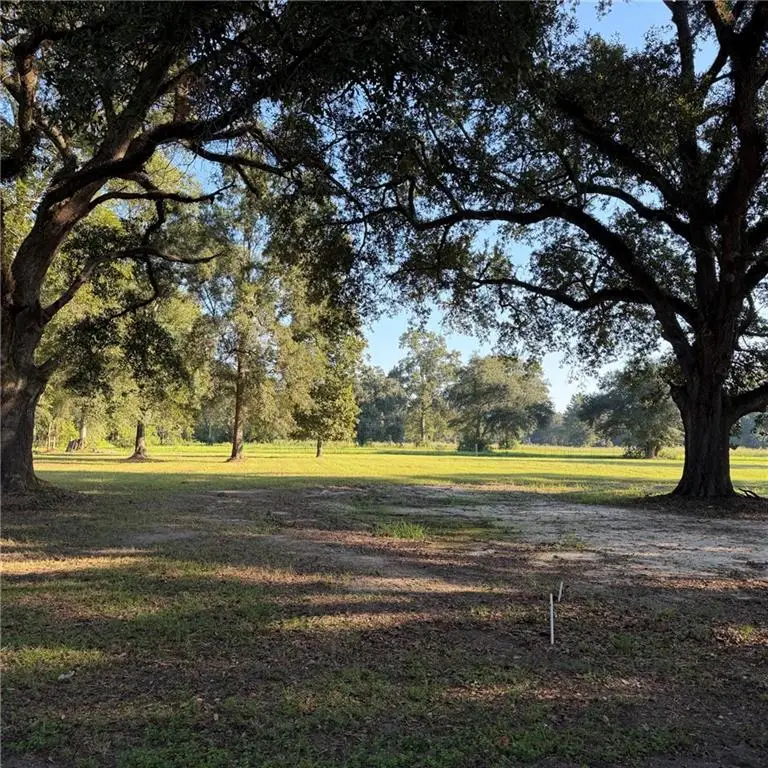 Lot 4 Ed Yates Road, Pearl River, LA 70452 - #1