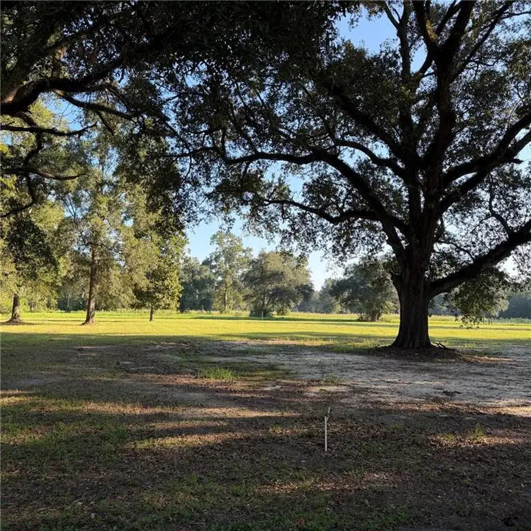 Lot 4 Ed Yates Road, Pearl River, LA 70452 - #3