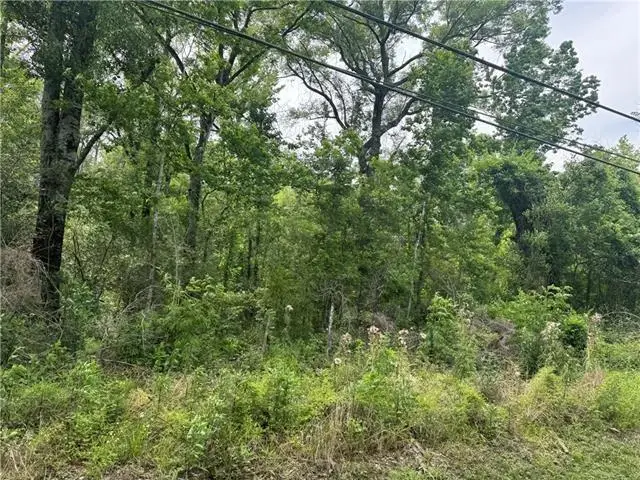 Commercial Street, Roseland, LA 70456 - #2
