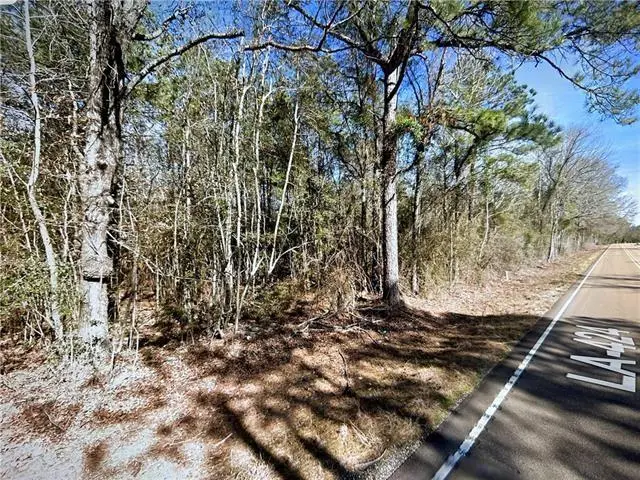 La Hwy 424 - Lot 4, Franklinton, LA 70438 - #2