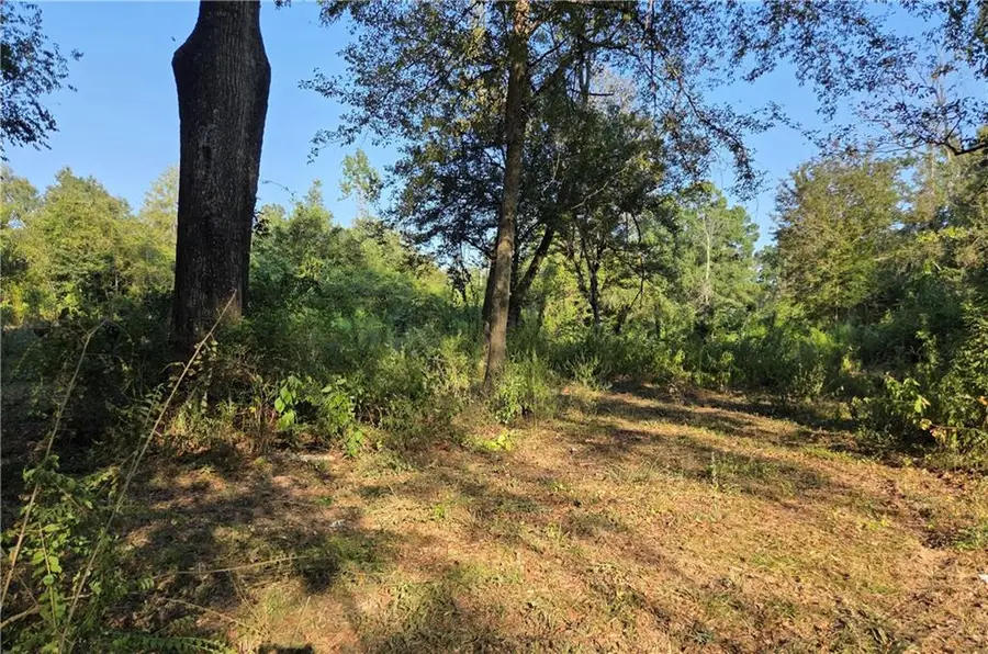 22310 440 Highway, Kentwood, LA 70444 - #3