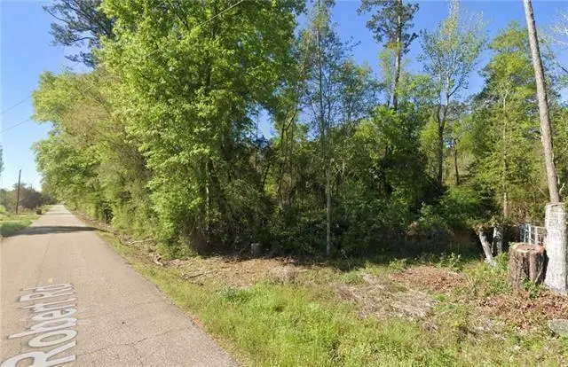 Robert Road, Hammond, LA 70401 - #1