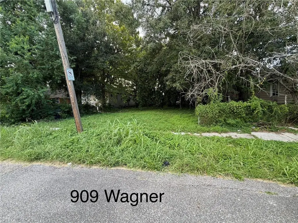 909 Wagner Street, New Orleans, LA 70114 - #1