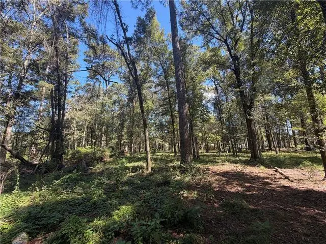 Strawberry Lane, Hammond, LA 70403 - #1