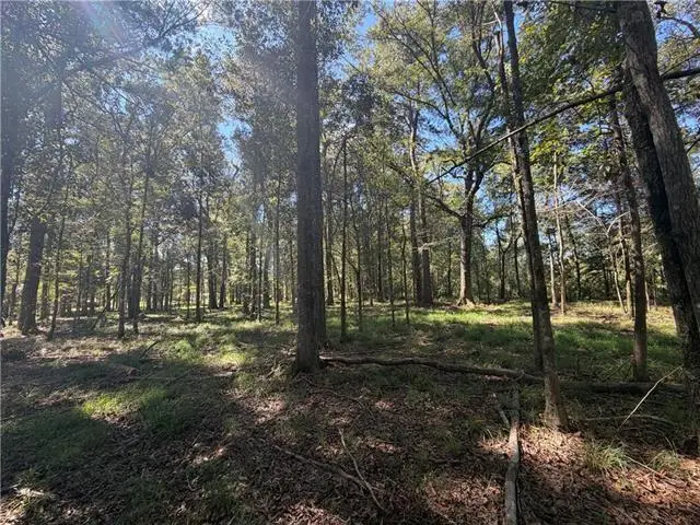 Tuger Lane, Hammond, LA 70401 - #1