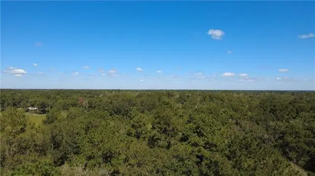 Tuger Lane, Hammond, LA 70401 - #3