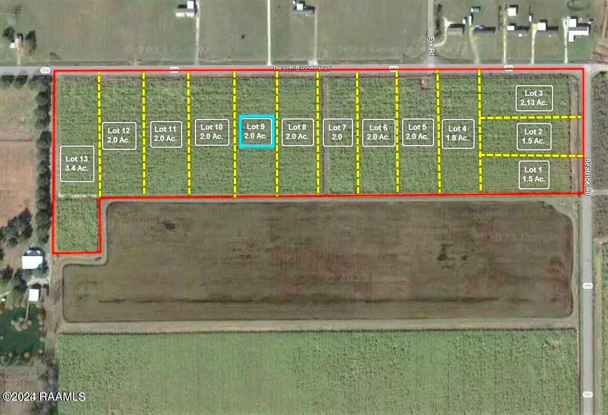 2700 Blk Peach Bloom Highway, Church Point, LA 70525 - #1