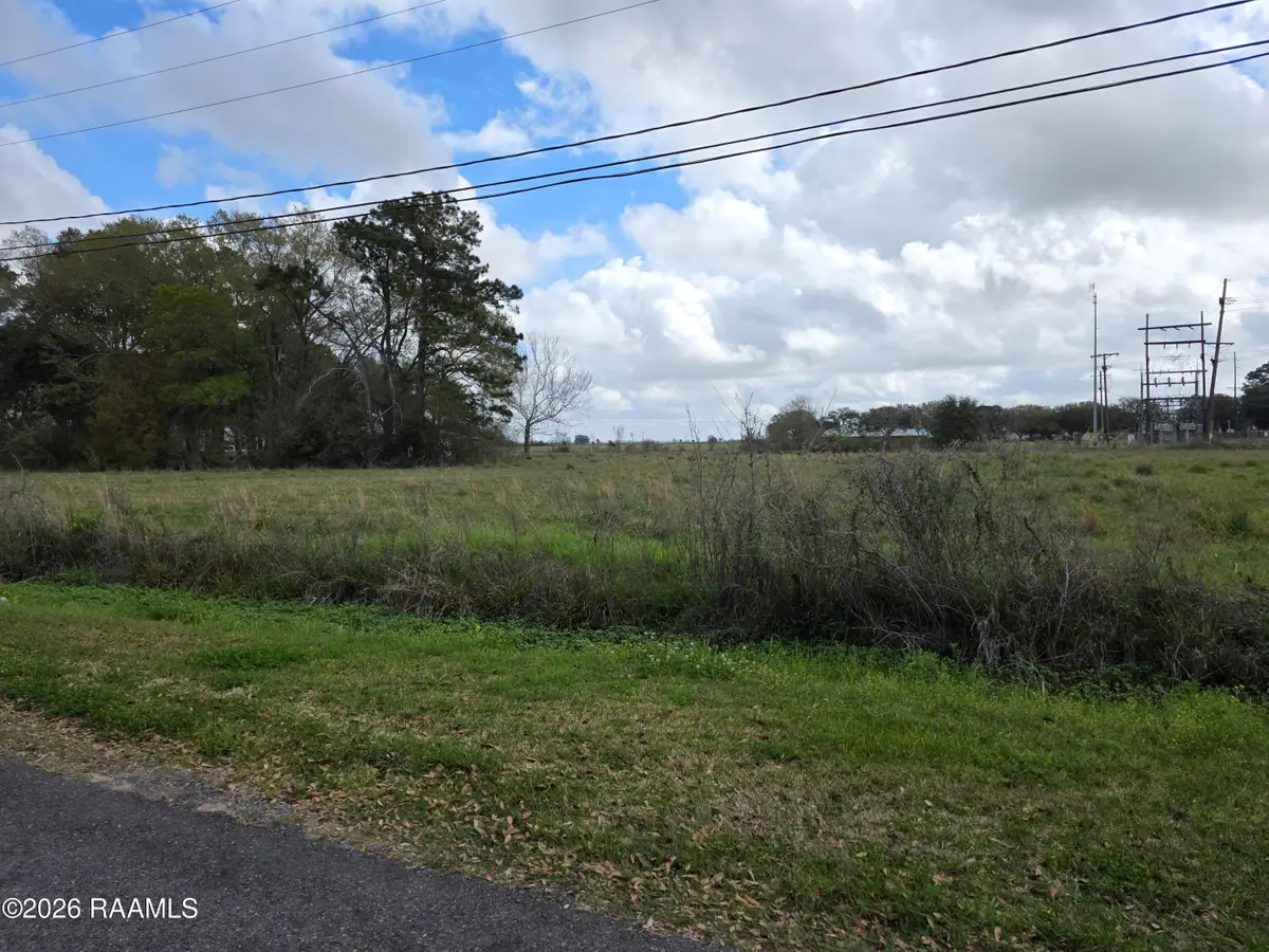 Vidrine Road, Ville Platte, LA 70586 - #1