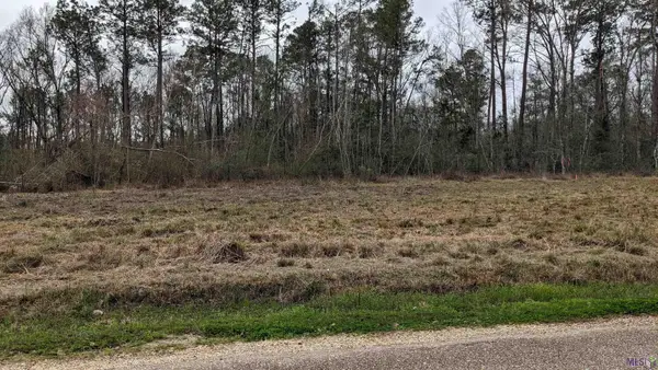 TBD Lakeview Ln, Holden, LA 70744