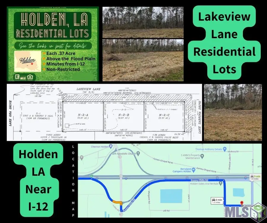 TBD Lakeview Ln, Holden, LA 70744 - Image #2
