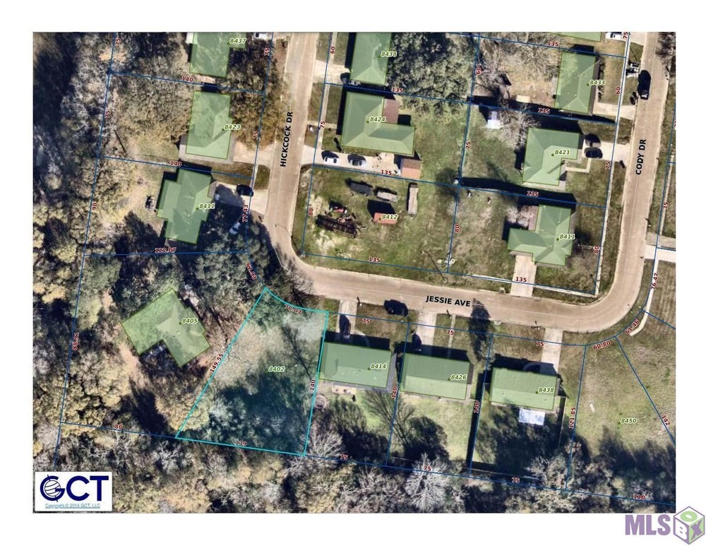 8402 Jessie Ave, Baton Rouge, LA 70811 BHGRE