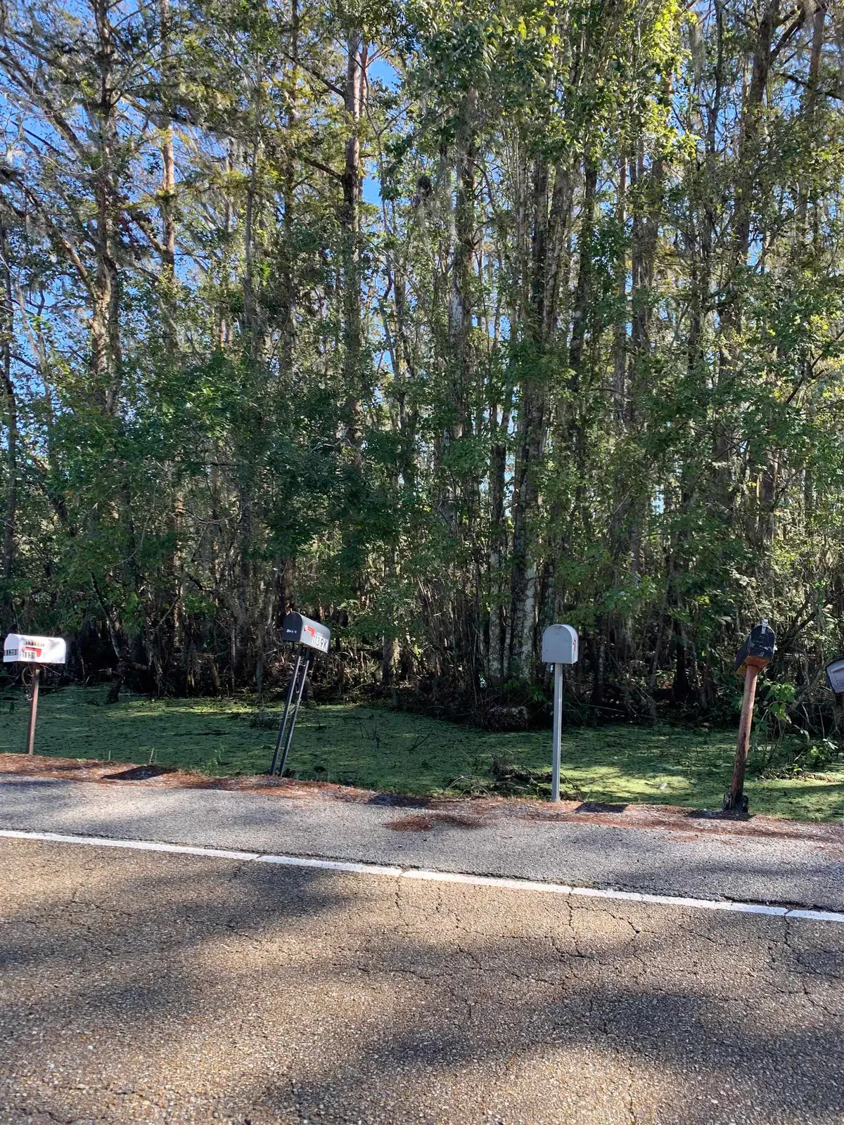 TBD Stephensville Rd, Stephensville, LA 70380 - #1