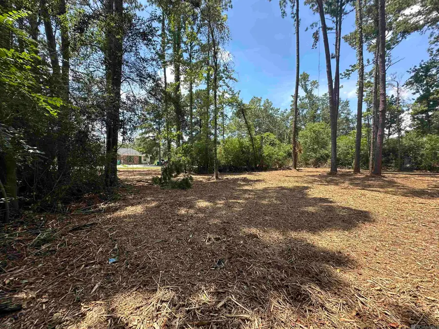 2 Acres Norma Dr, Denham Springs, LA 70726 - #3