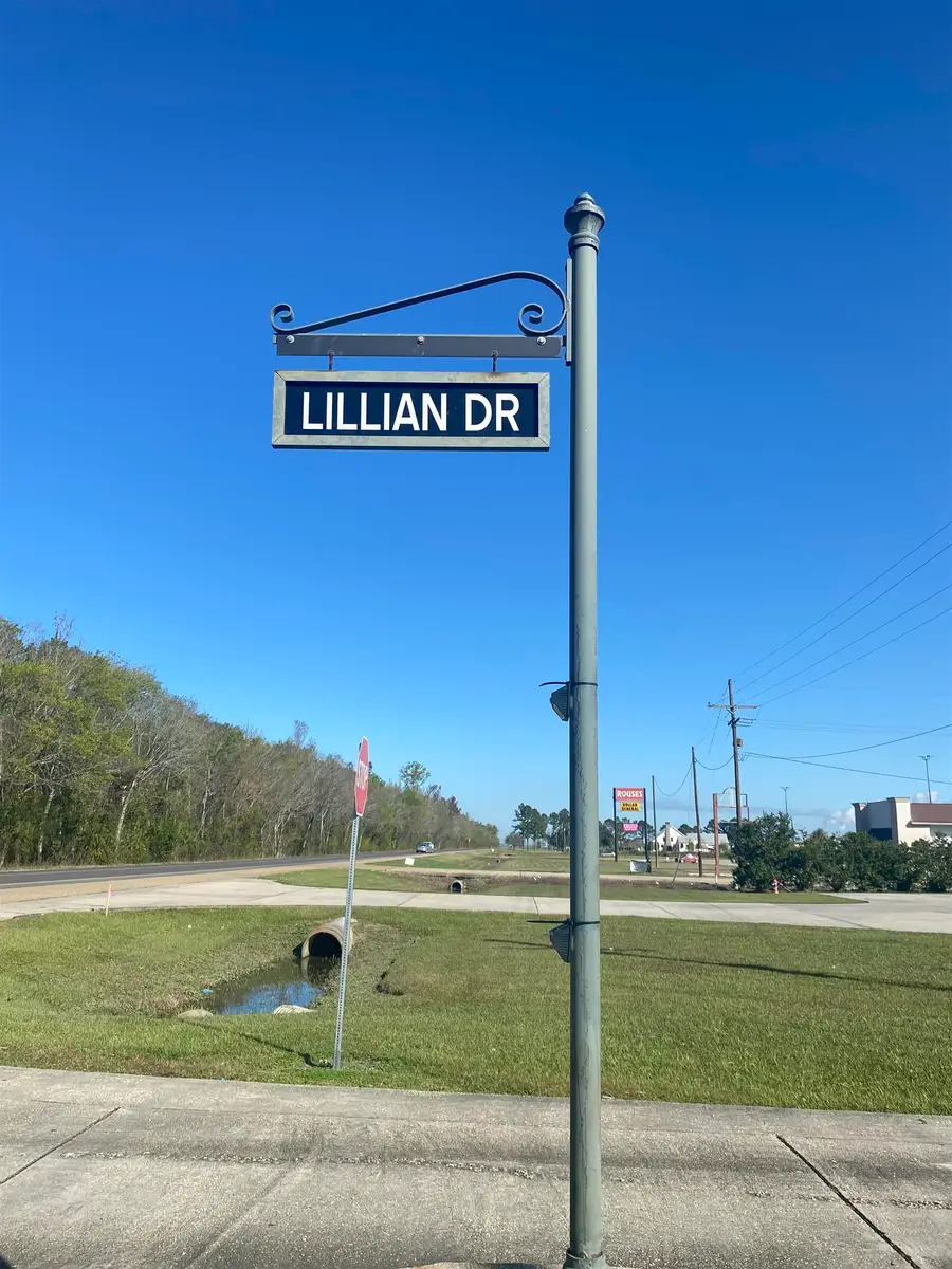 120 Lillian Dr, Plattenville, LA 70393 - #3