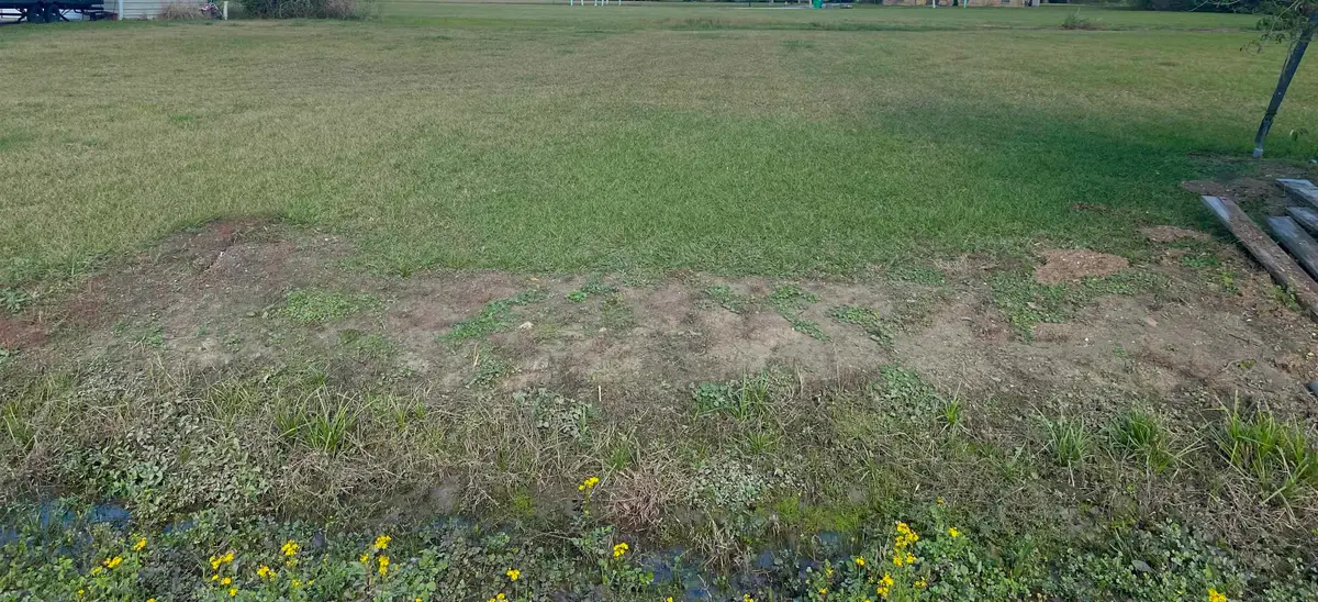 Lot 14 Roy St, Plattenville, LA 70393 - #1