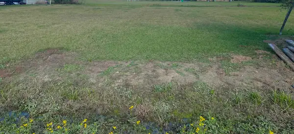 Lot 14 Roy St, Plattenville, LA 70393