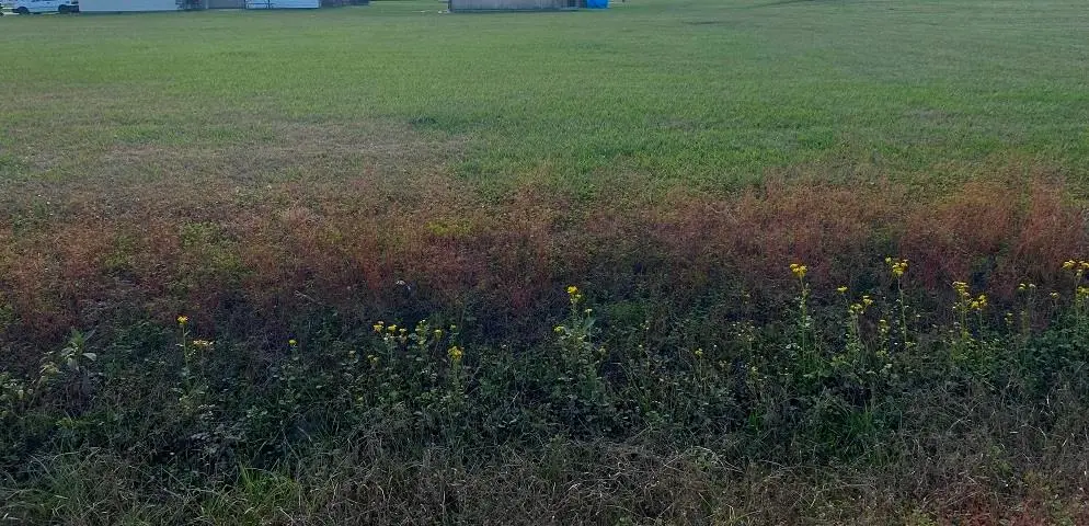 Lot 13 Roy St, Plattenville, LA 70393 - #1